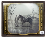 Magic Lantern Slide of Ulysses S. Grant's Civil War Horse, ''Jeff Davis''